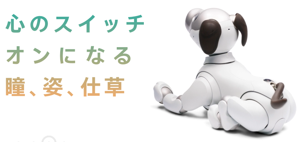 Aibo かわいい 有 コガイ電氣商会